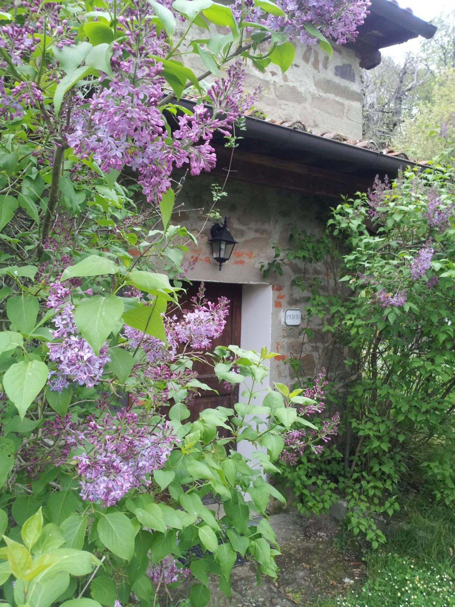 Fattoria Il Praticino - Metato Villa Castelfranco di Sopra Buitenkant foto