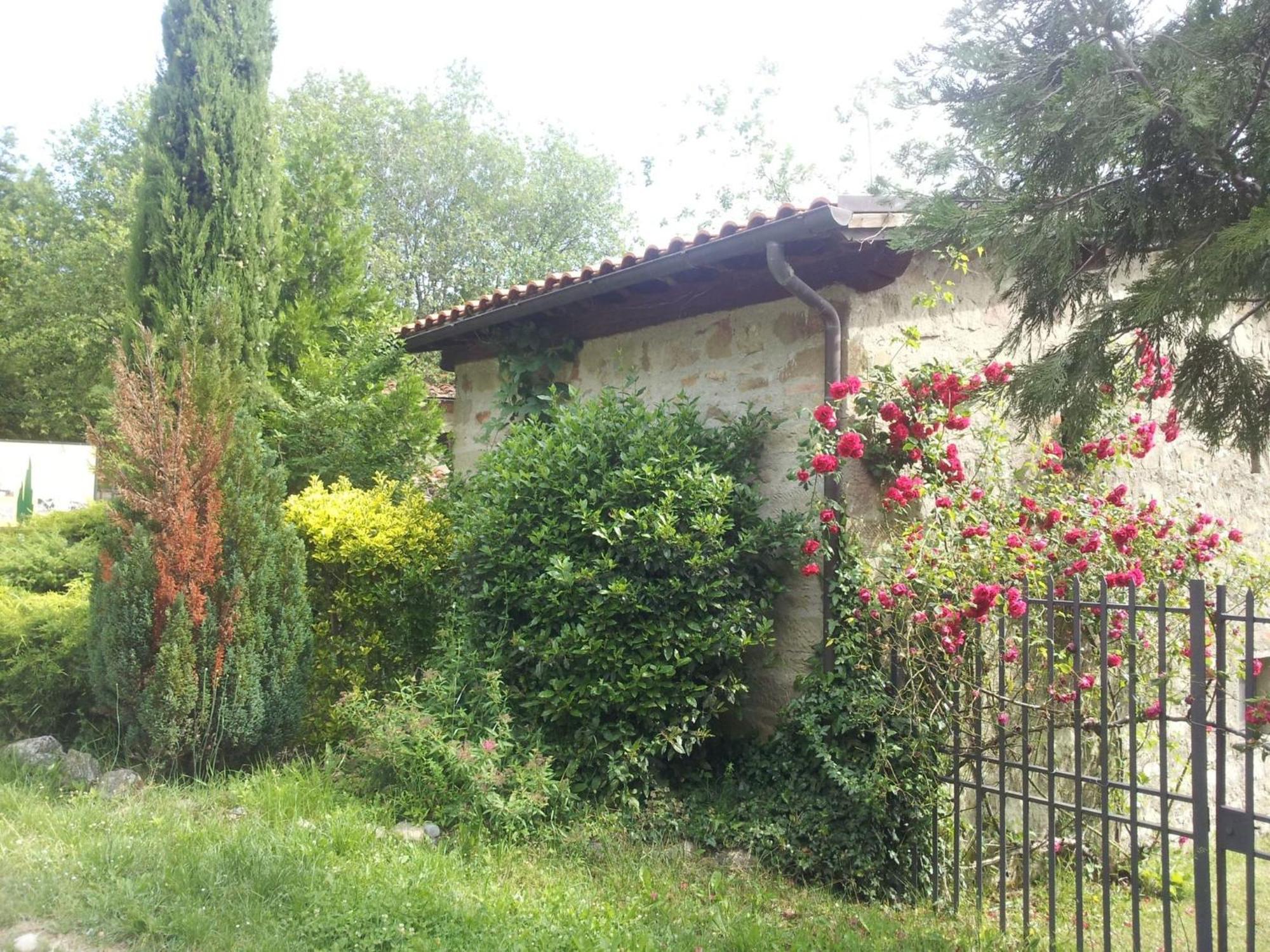 Fattoria Il Praticino - Metato Villa Castelfranco di Sopra Buitenkant foto